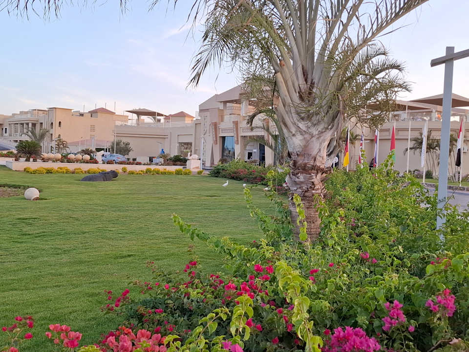 Außenansicht Pickalbatros Aqua Vista Resort - Hurghada