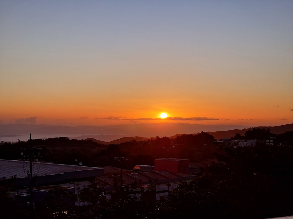 Ausblick Hotel Ficus Sunset Suites