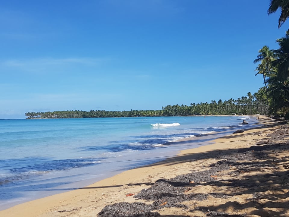 Strand Viva Wyndham Samaná