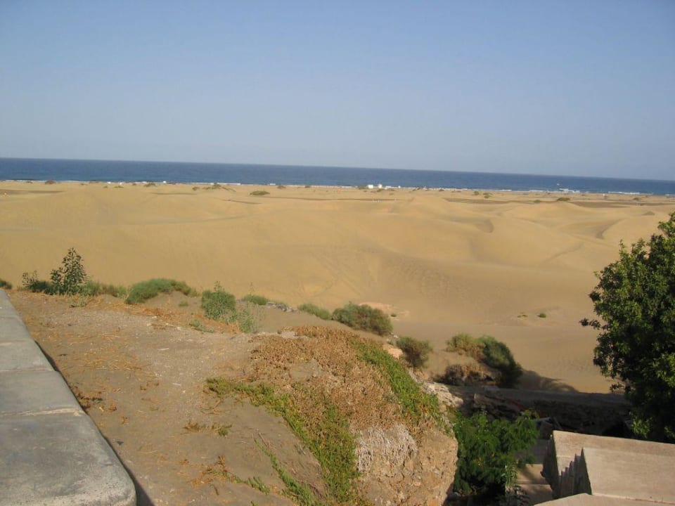 Ausblick Sahara Beach Club