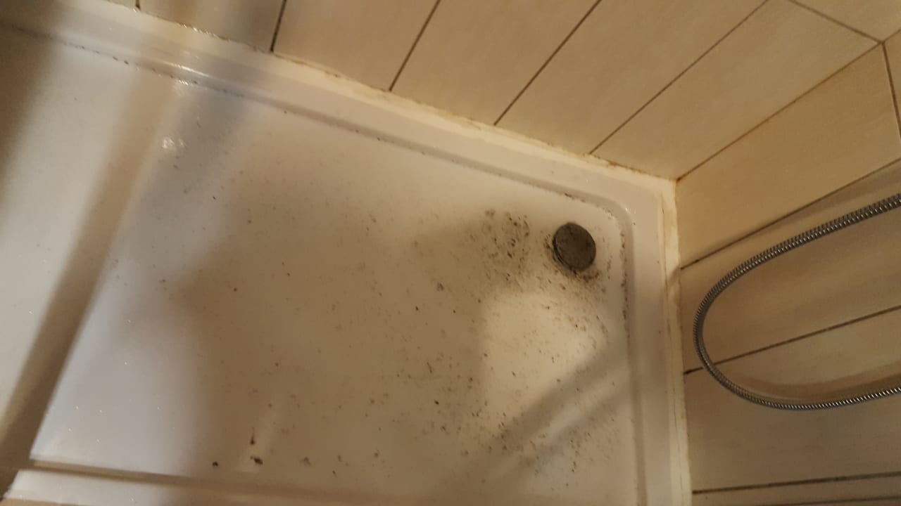 Zimmer Greenwood Kemer Resort