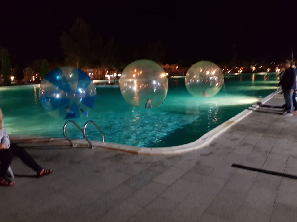 Sport & Freizeit Pickalbatros Jungle Aqua Park Resort - Neverland Hurghada