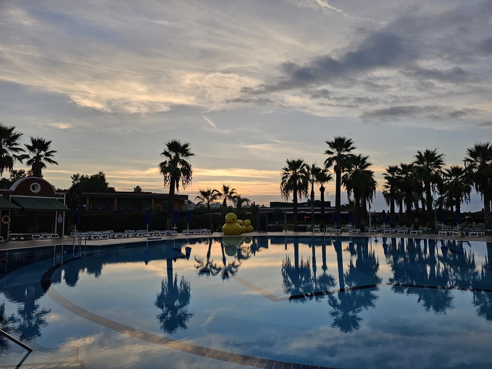 Pool Megasaray Club Belek