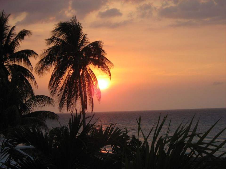 Ausblick vom Zimmer Starfish Cuatro Palmas