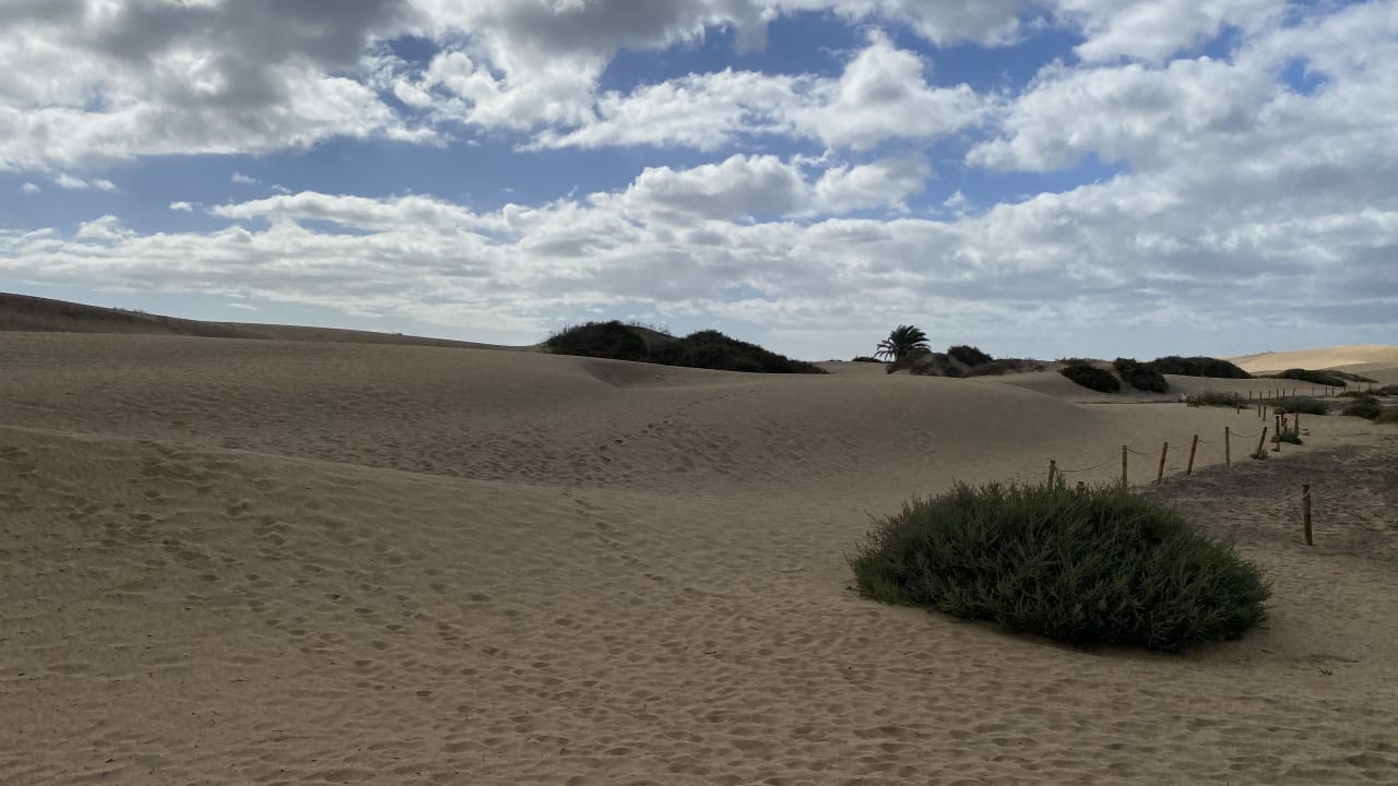 Strand Hotel Riu Palace Oasis