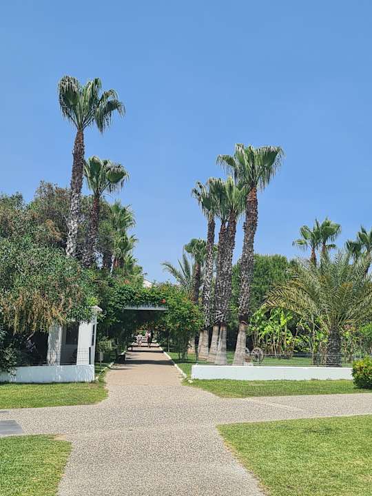 Strand Hotel Süral Resort