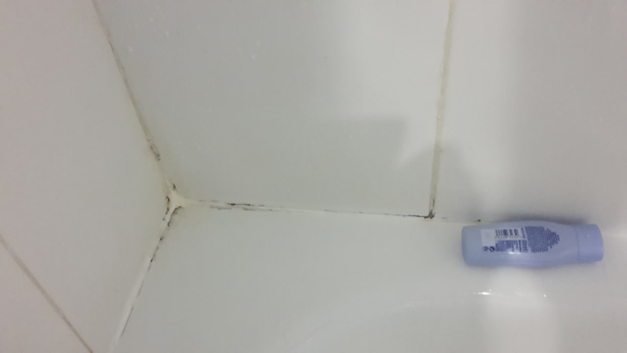 Zimmer Apartamentos LIVVO Morromar