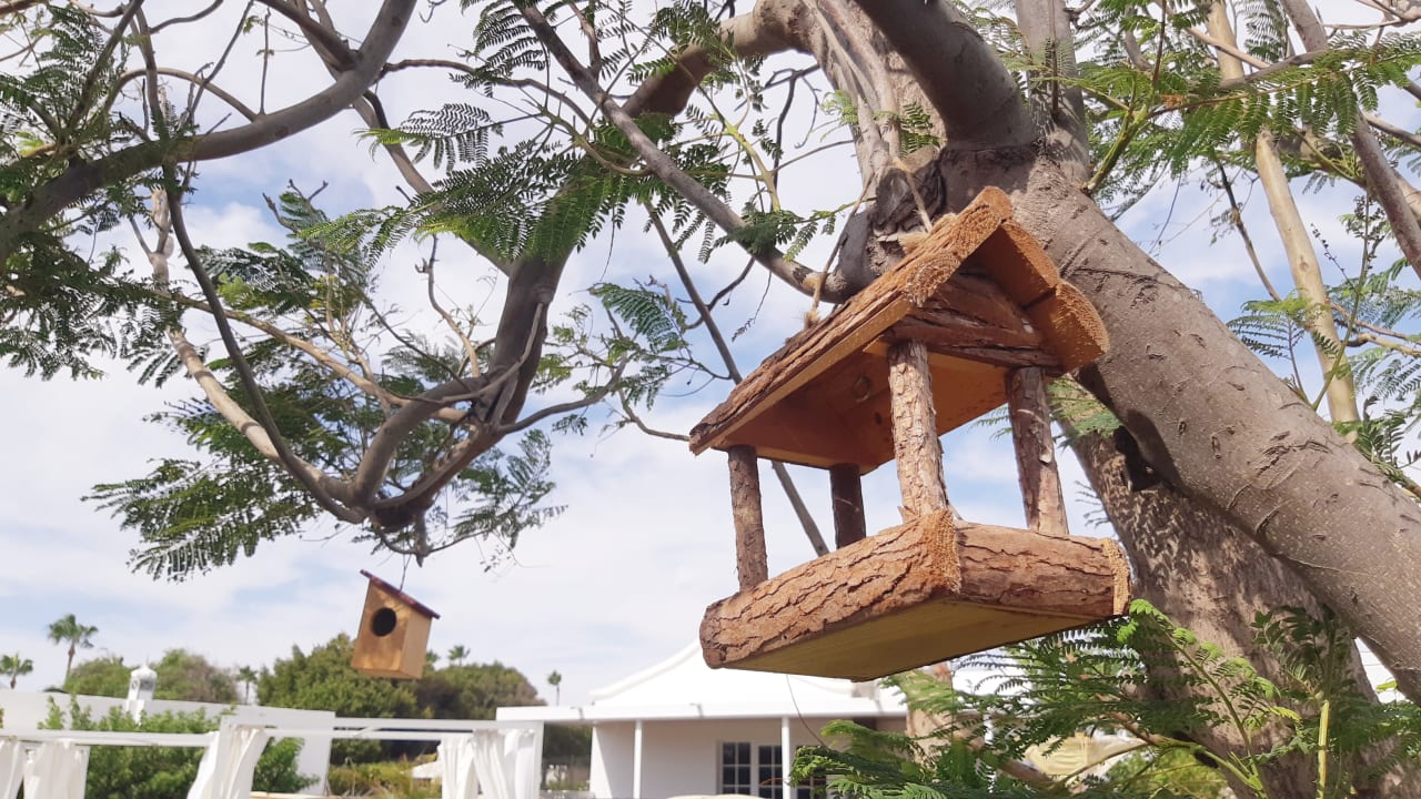 Gartenanlage Hotel Hyde Park Lane