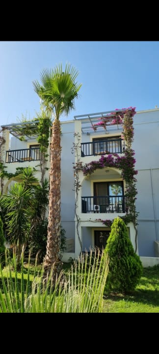 Außenansicht Hotel Tigaki Beach