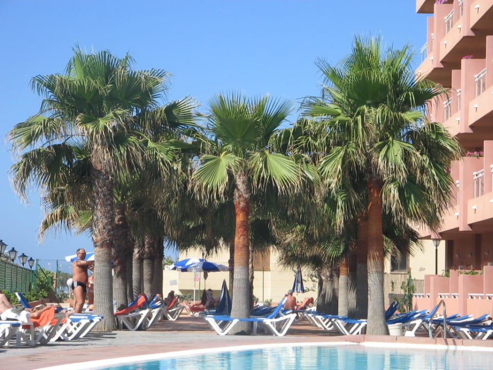 A la piscine Hotel Best Roquetas