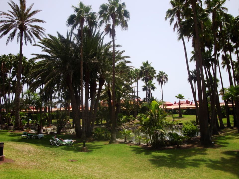 Gartenanlage Hotel Riu Palace Oasis