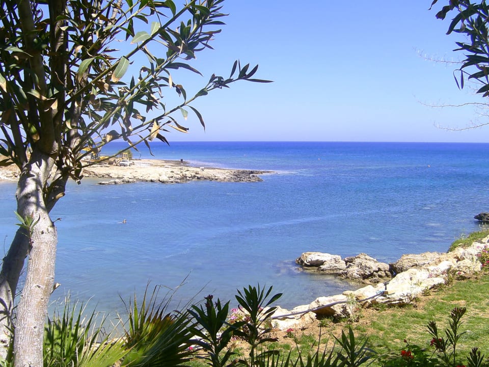 Schöne Bucht Crystal Springs Beach Hotel