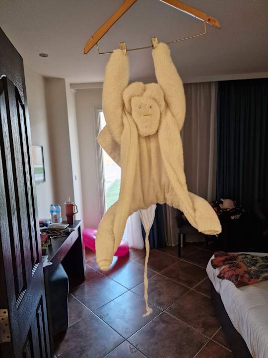 Zimmer Three Corners Sea Beach Resort