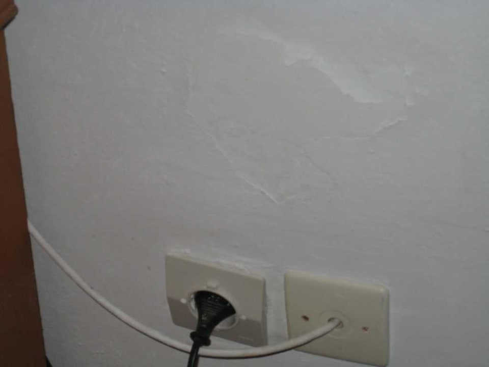 Abbröckeldner Putz von der Wand Crystal Flora Pearl Collection