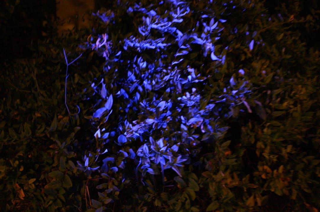 Club Ali Bey Manavgat Ali Bey Club