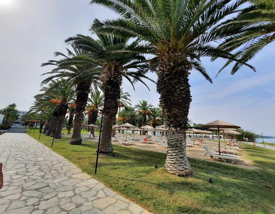 Gartenanlage Kassandra Palace Seaside Resort