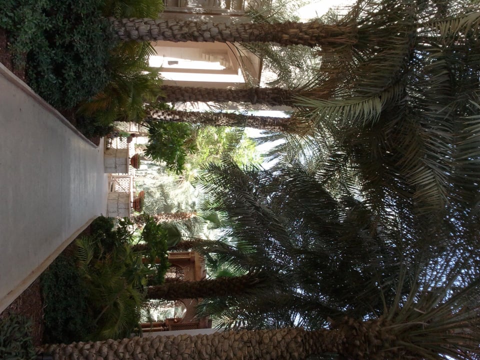 Gartenweg Jumeirah Al Qasr