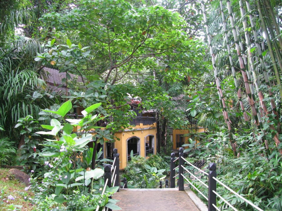 Dschungelfeeling Moracea by Khao Lak Resort