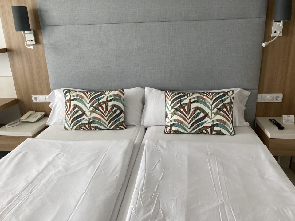 Zimmer allsun Hotel Borneo - Adults only