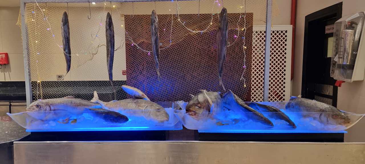 Gastro Cleopatra Luxury Resort Makadi Bay