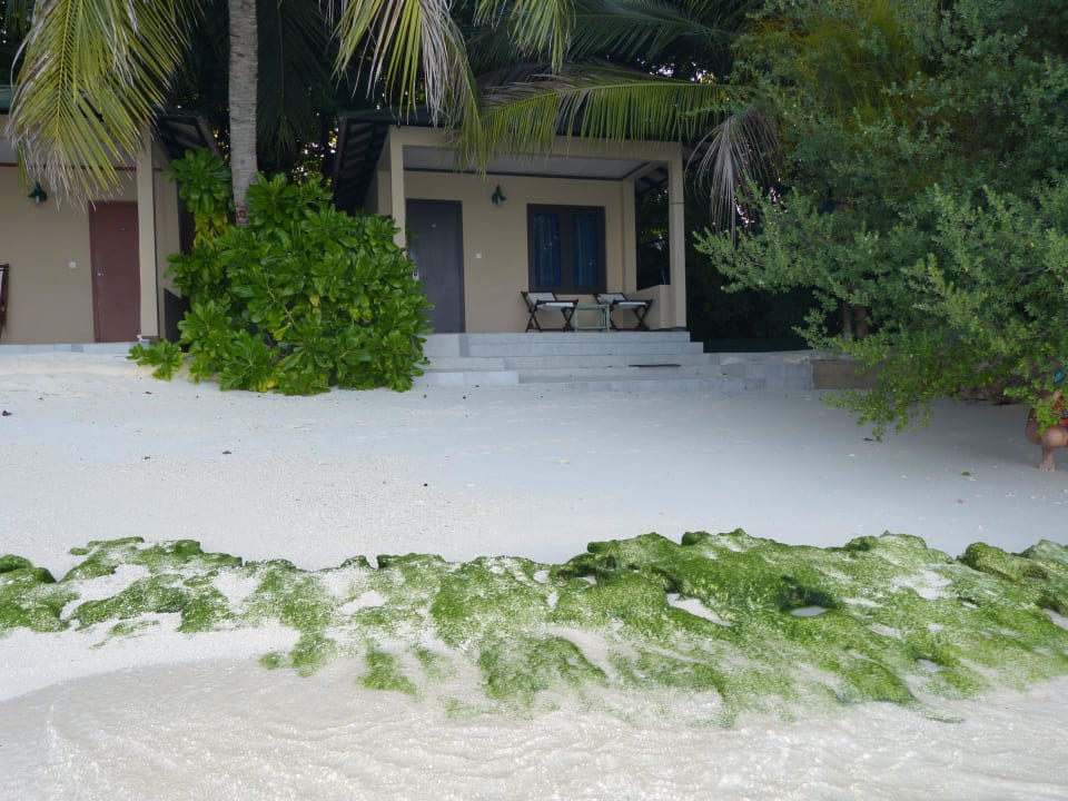 Bungis 34-35 Summer Island Maldives