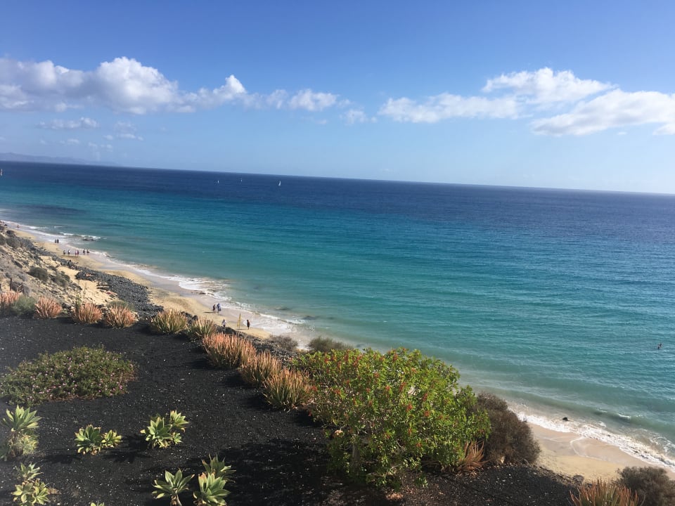 Ausblick TUI MAGIC LIFE Fuerteventura