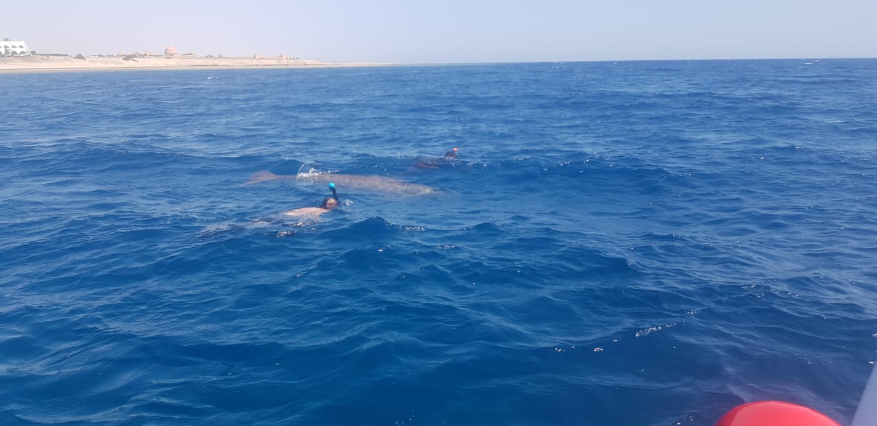 Strand Malikia Resort Abu Dabbab