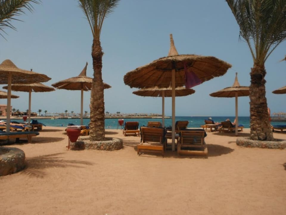 Beach Albatros Beach Albatros Resort