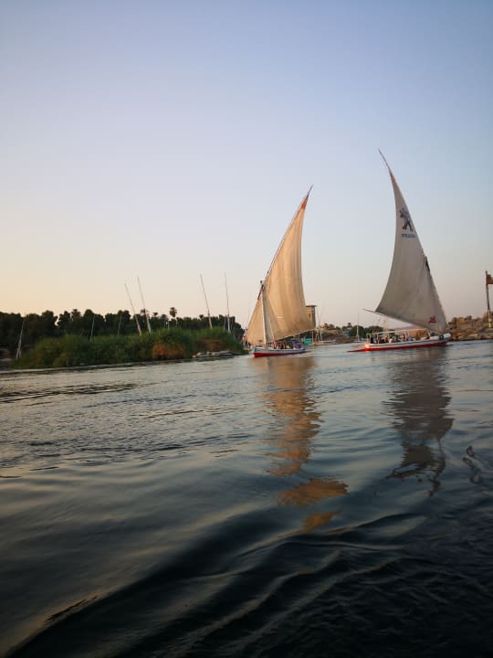 Außenansicht Hotel Mövenpick Resort Aswan