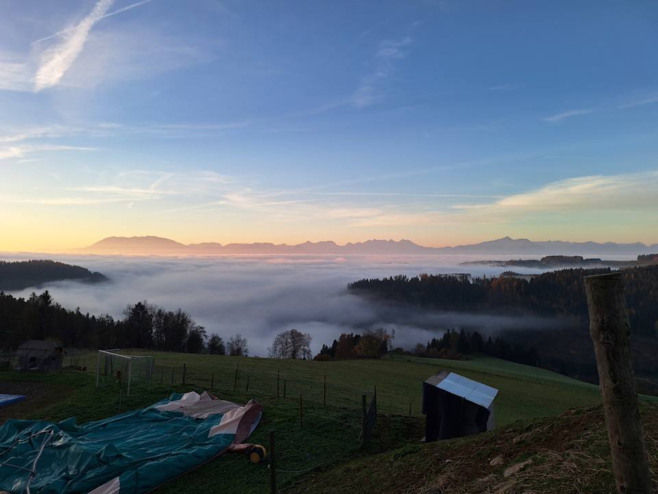 Ausblick Familien Resort Petschnighof - Familotel Kärnten