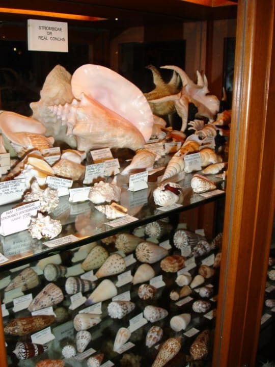 Ein Restaurant Centara Grand Beach Resort & Villas Hua Hin