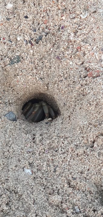 Strand Brayka Bay Resort