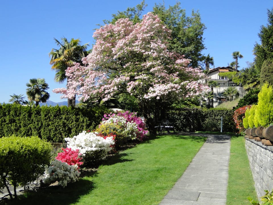 Giardino Hotel Sant'Agnese