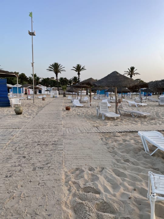 Strand Sentido Phenicia