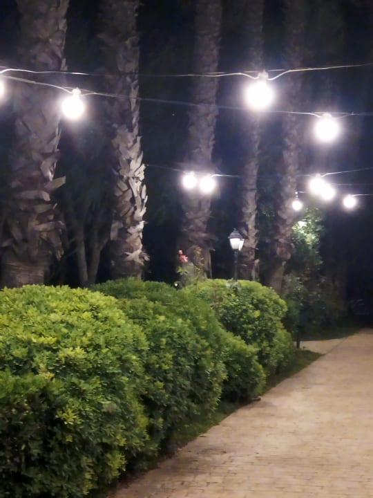 Gartenanlage Belconti Resort Hotel
