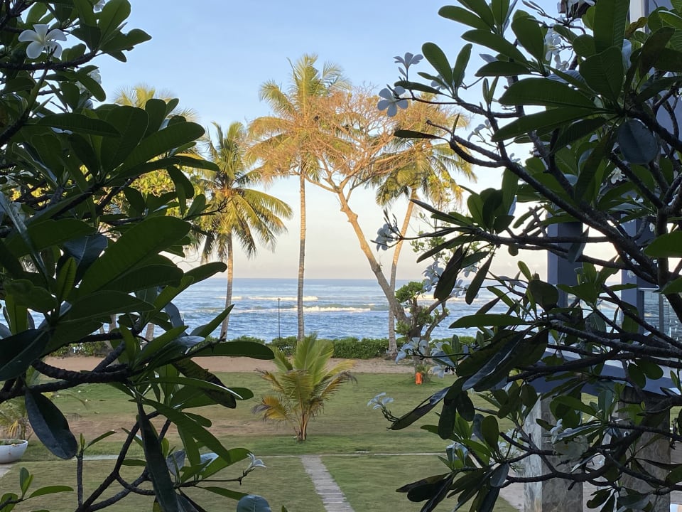 Ausblick Earl’s Reef Beruwala