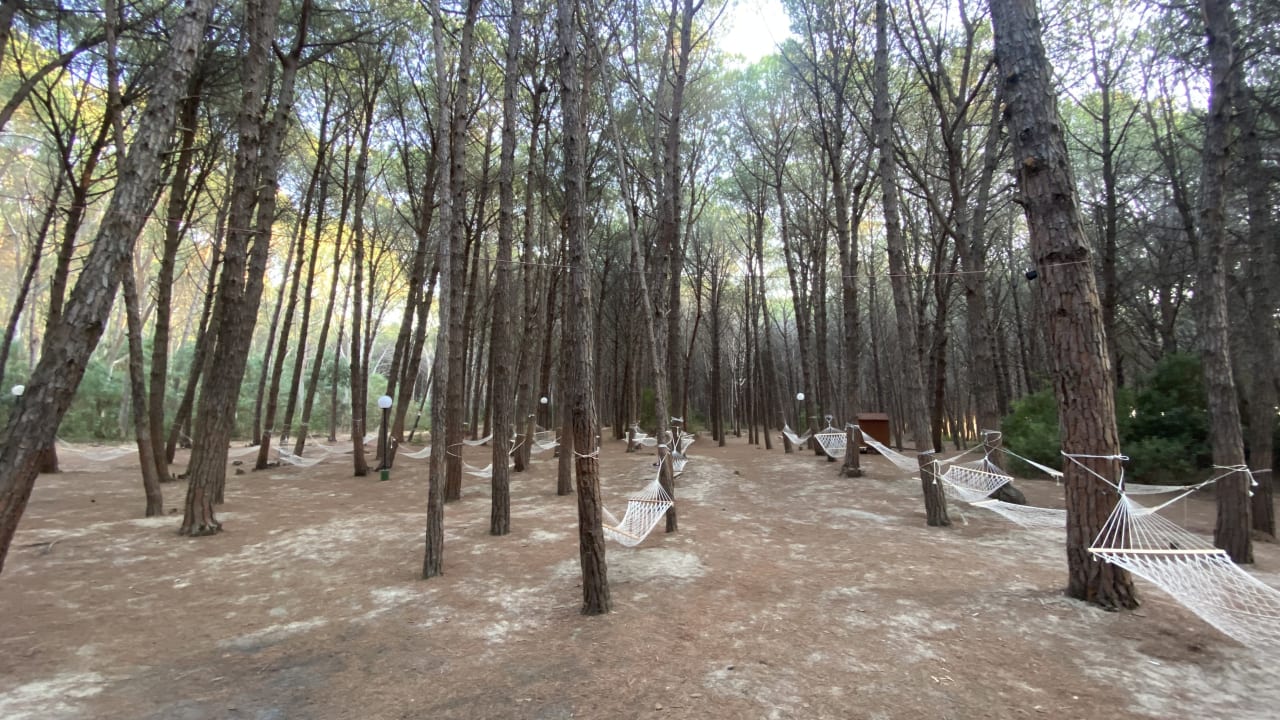 Gartenanlage TUI MAGIC LIFE Calabria