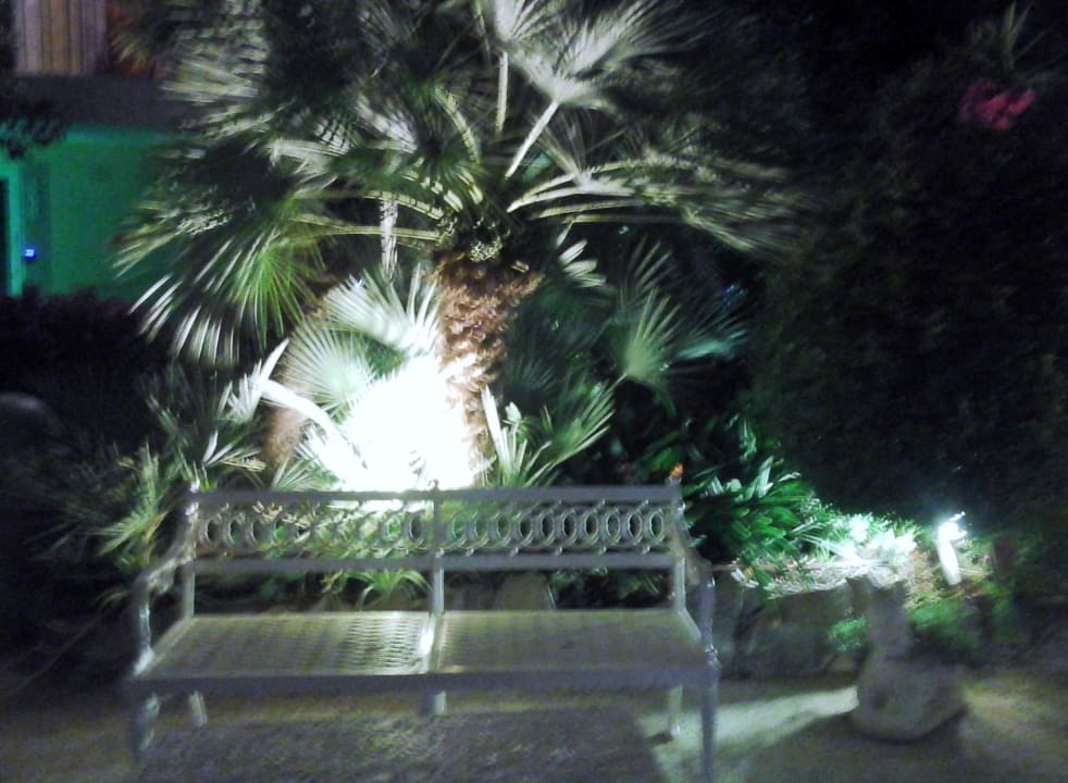 Gartenanlage Celo Garden