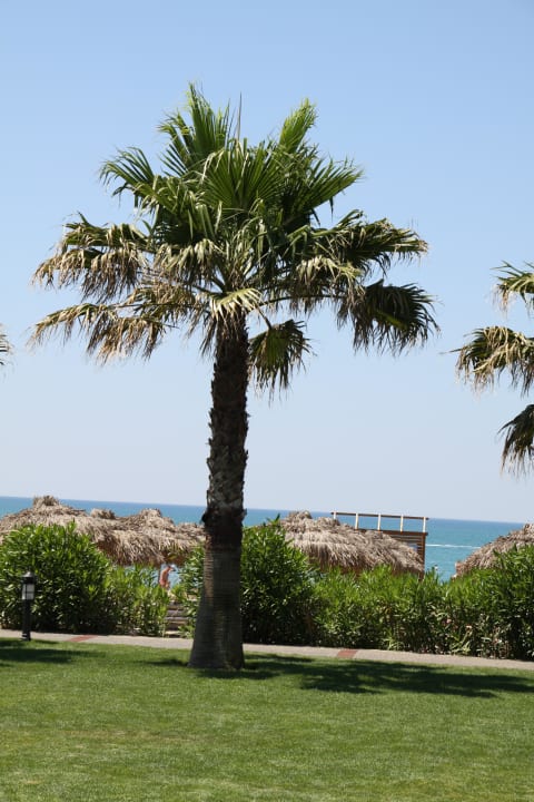 Schöne Palmen Voyage Belek Golf & Spa