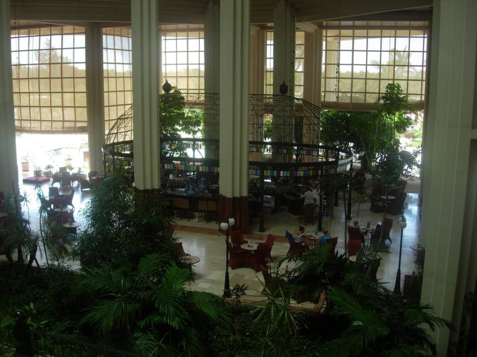 Hauptbar Blau varadero - Adults only