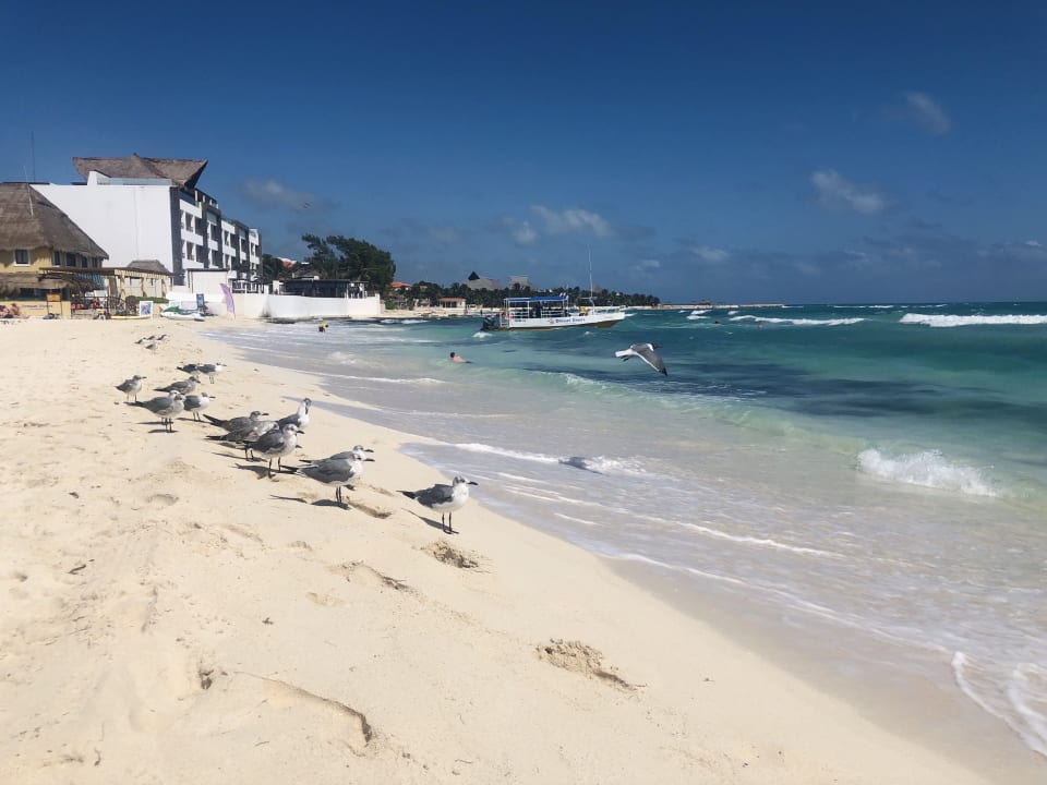 Strand Iberostar Waves Paraiso del Mar