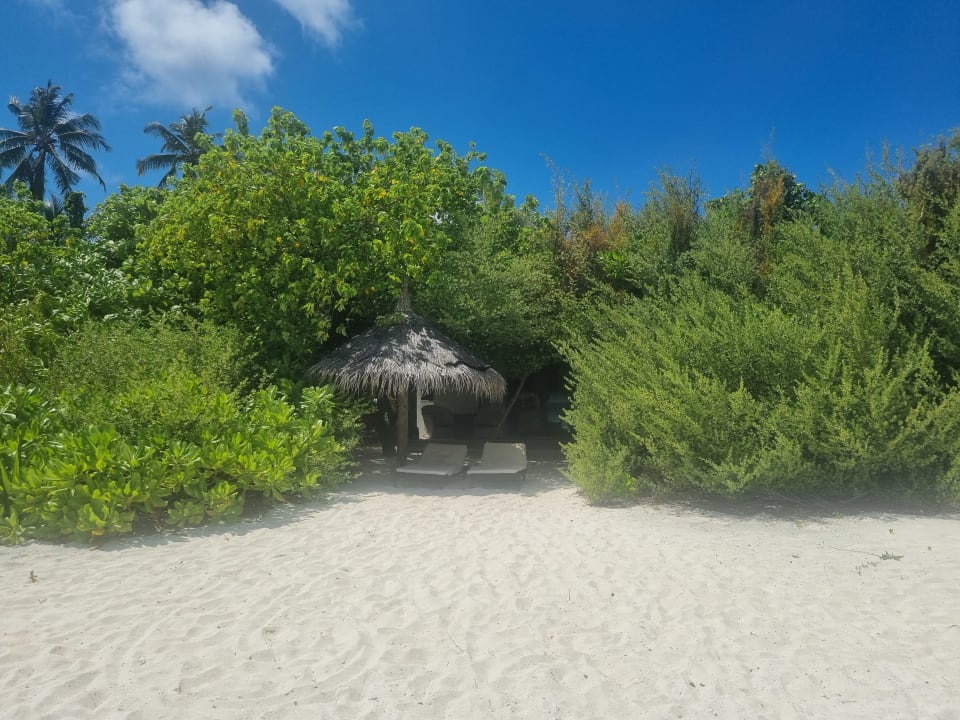 Zimmer NH Collection Maldives Havodda Resort