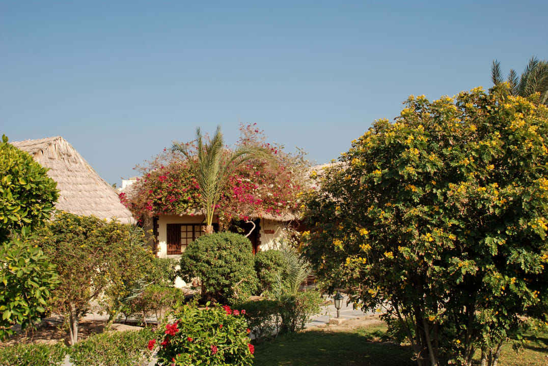 Сад между бунгало Panorama Bungalows Resort El Gouna