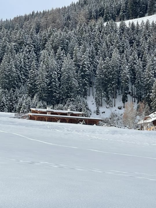 Außenansicht Chalet Wiesenglück