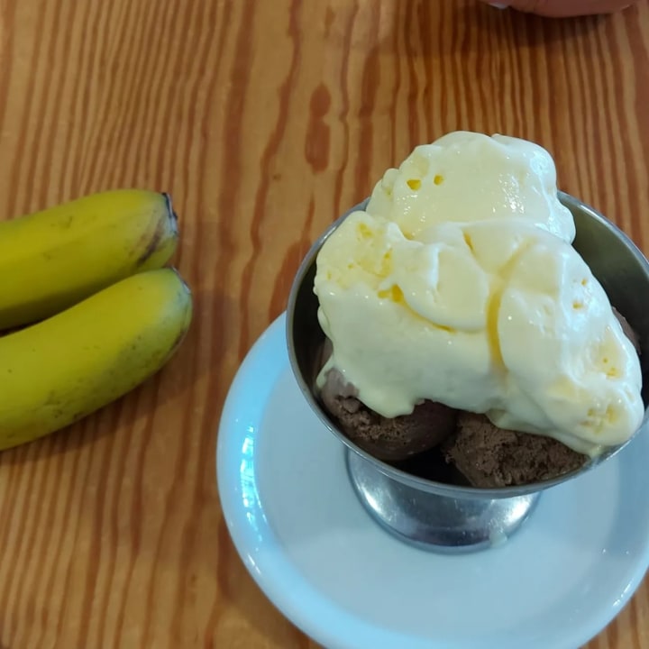 Gastro Aparthotel Costa Mar