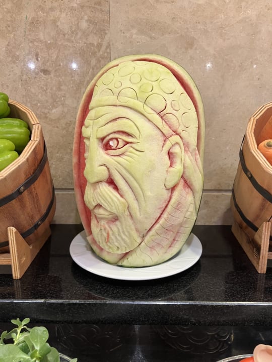 Gastro Papillon Ayscha