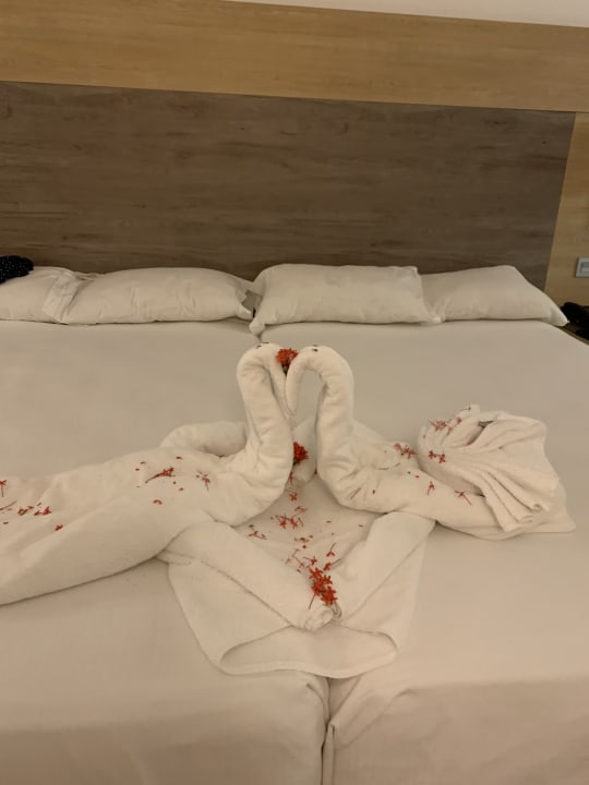 Zimmer Hotel Riu Palace Tropical Bay