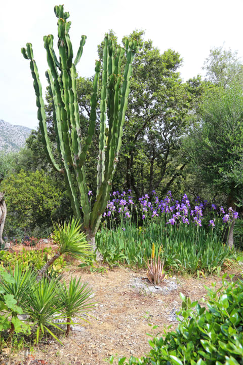 Gartenanlage Finca Can Guillo