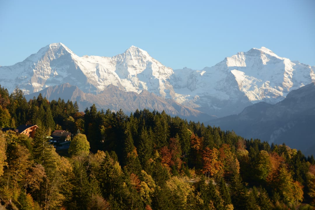 Ausblick Ula's Holiday Apartments