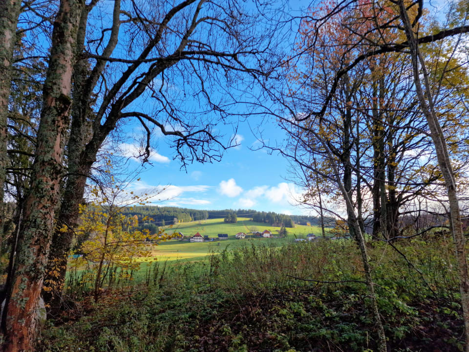 Ausblick Hotel Zum Ochsen